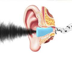 Venoa VSF100 Gürültü Ses Önleyici Kulak Tıkacı 50 Çift
