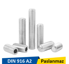 Norm M8x60 İnox Setskur Civata Dın 916